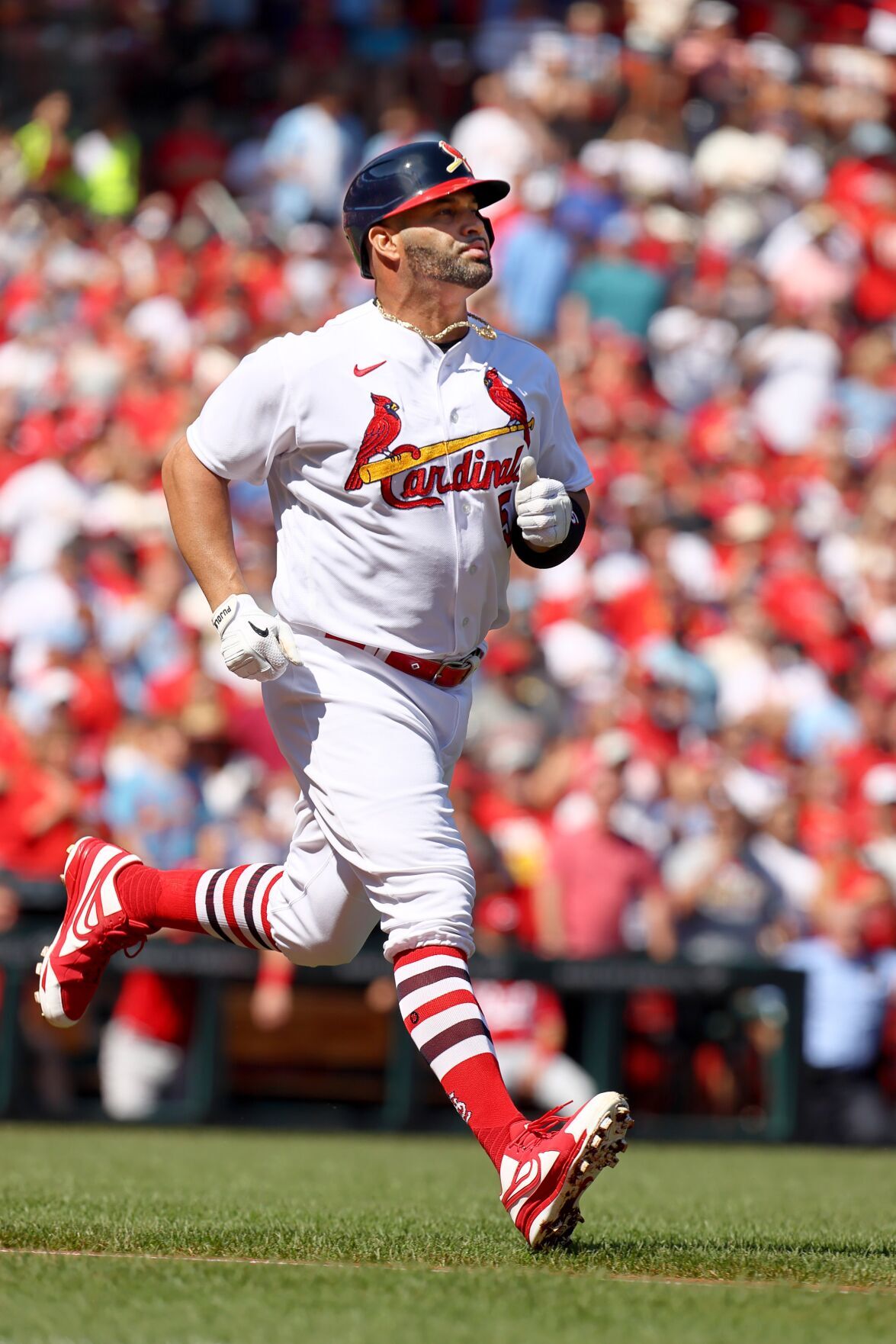 Cincinnati Reds vs St. Louis Cardinals